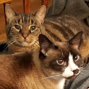 Meet your Posher, Barbara